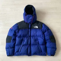 THE NORTH FACE ザノースフェイス 700 バルトロ グース ダウン ダウン