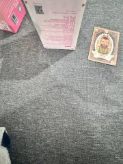 POP MART 15周年記念 Labubu(ラブブ）出品