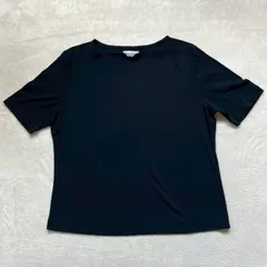 【美品】 LANSOIR （ランソワール） コットンカットソー 半袖Tシャツ コットン100% 無地 シンプル 日本製 黒 レディース Lサイズのサムネイル