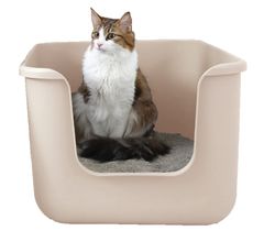 Item thumbnail for item 612f1054-41b3-4047-a4db-176467a173b8