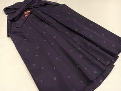 Item thumbnail for item 4945db8b-7b0f-4c78-b47b-a6012c308b9c