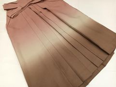 Item thumbnail for item 8fc8aa8b-03c9-42eb-852b-8abadf3c7a59