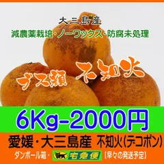 ブス不知火6Kg　（デコポン同品種）ブス顔は味でカバー！