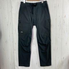 ✉️Men's S ベージュ系 Finetrack ( ファイントラック ) ストーム ゴージュ アルパイン パンツ STORMGORGE ALPINE PANTS レギュラー ポリエステル ウェア ボトムス ロングパンツ ソフトシェル z0