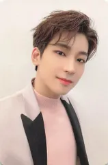 SEVENTEEN ひとりじゃない WONWOO トレーディングカード
