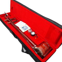 二胡 蛇皮 弓付き ハードケース付き 中国楽器 民族楽器 紫檀風 木製