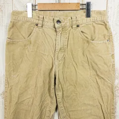 📦️Men's 32 ベージュ系 2013 Patagonia ( パタゴニア ) コード