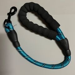 Item thumbnail for item e1f5a93a-0a62-40cc-95ab-71c297d0829d