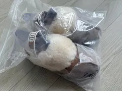 UGG アグ ロゴ ISTJ VENDING MACHINE Ver. ファー カラ フラットフォーム サンダル (펀케트) 新品