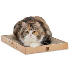 Item thumbnail for item 7ada2297-3d9e-4e30-8493-681cedd4f744