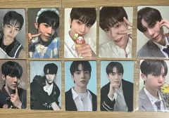 10枚 まとめ チュニクス BOYS PLANET（ボイプラ）2期 ボプラ2期 展示会 2週目 パク・ドンギュ トレカ 羊