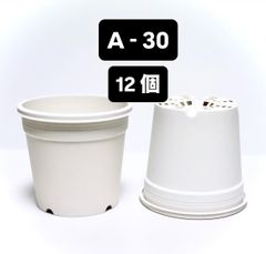 lemoon様 リクエスト 2点 まとめ商品 - メルカリ