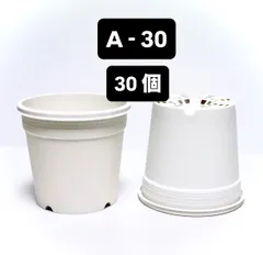 プラ鉢　A-30 白　30個　カネヤ　多肉植物のサムネイル