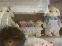 Sylvanian Families(シルバニアファミリー) フローラウサギ 家族 セット 開梱