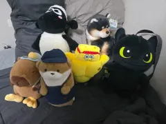 ぬいぐるみ6点 まとめ売り