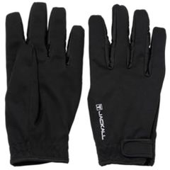 Item thumbnail for item aaff879e-72d6-4596-9aa7-52ce387d3ae3