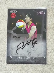 パク・ヒョンジュ 選手 バレーボール コボカード オート