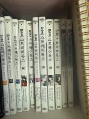 文豪ストレイドッグス 文豪 Stray Kids 독스 漫画