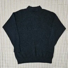 ユニクロ ウール ハイネック 薄い ニット メンズ100