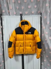 THE NORTH FACE ザ・ノース・フェイス サミットウィンドストッパー グースダウン (85)