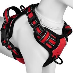 Item thumbnail for item d0a1a2e8-dd34-4dc7-a865-43e33c1e788b