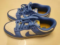 ナイキ ダンク ロー コースト