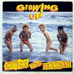 国内盤 CRACK THE MARIAN/グローイングアップ/STRAWBERRY ER003 7 □