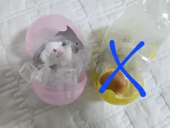 ちいかわ スヤスヤ おやすみマスコット ガチャ 2弾 ちいかわ