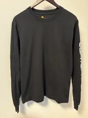 【袖ロゴ】Carhartt ロンT ブラック M（L相当）EK231