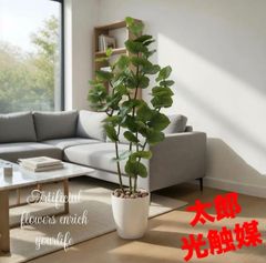 光触媒 人工観葉植物 ウォールグリーン フェイクグリーン ベンガル 