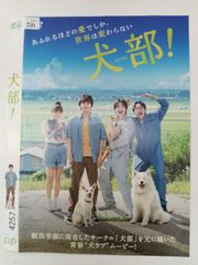 Item thumbnail for item 49641a12-3666-466f-809f-5c0ceea41aae