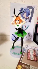 新品 5等分の花嫁 中野 四葉 バニーガール バージョン FURYU フリュー 製作 美少女 フィギュア