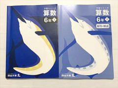 Plastic Handsurgery形成手外科 (PEPARS) 平瀬雄一 - メルカリ