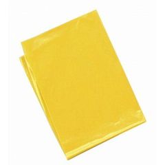 Item thumbnail for item 13c21c87-bb4d-4105-add1-38db2cf8aa19