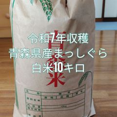 令和7年 山口県産 恋の予感 玄米 10kg - メルカリ