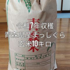 令和7年 山口県産 恋の予感 玄米 20キロ① - メルカリ