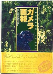 Item thumbnail for item dcd2cda4-e32e-4995-b898-940cd72c37b9