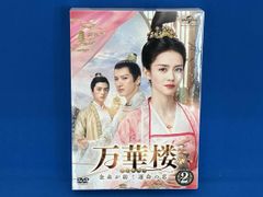 風起西州～烈風に舞う花衣～」DVD 全19巻完結セット 中国ドラマ