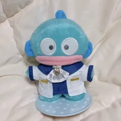 ハンギョドン ぴたっと