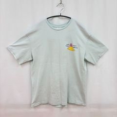 チビTシャツ90年代ヴィンテージ パタゴニア Tシャツ サーフボード