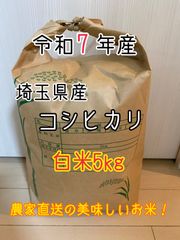 島根県産】コシヒカリ島根米 白米 産地直送 15kg - メルカリ