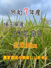 【玄米10kg】農家直送！美味しいお米！埼玉県産コシヒカリ！ 玄米10kg】農家直送！美味しいお米！埼玉県産コシヒカリ！ - メルカリ