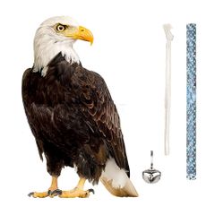 Item thumbnail for item 3154ea42-fd2f-4813-90f8-732aa28edcc8