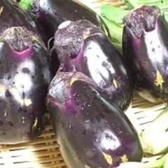 水なす（訳あり）6個入りのサムネイル