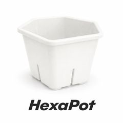 HexaPot 4号 10個セット アガベ 塊根植物 スリット鉢 - メルカリ