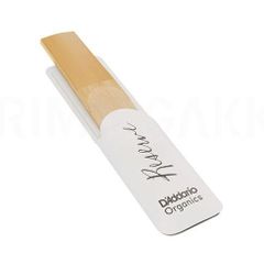 Item thumbnail for item f0fe5515-cefe-49a0-8a31-3cd9a9c69851