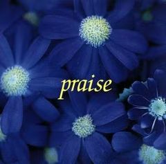 Item thumbnail for item c15a39a4-3170-4bc5-9ca1-1e328b33462e