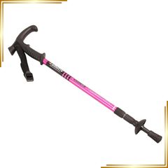 Item thumbnail for item 48259a81-58e8-476c-8253-e68e83274f40