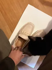 ZARA アイボリー チェーン ローファー 245