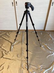 Item thumbnail for item 439ccd15-f6c8-4309-bb9a-cbe645ecaae5